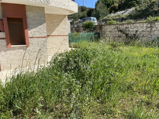 Aksoy Villası yenileme öncesi bakımsız ve otlarla kaplı bahçe alanı